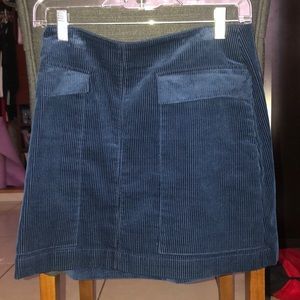 Zara navy skirt